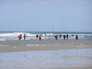 Snapper Classic Contestants at  2007 Tournament Beach Shot